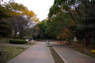 serigaya_park_08.jpg