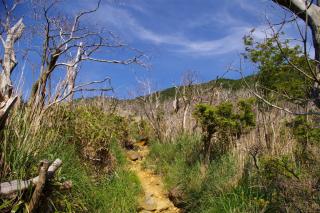 hakone_petit_20.jpg