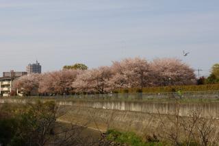 machida_080405_01.jpg