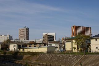 machida_080405_04.jpg