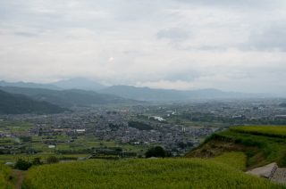 matsumoto_18_059