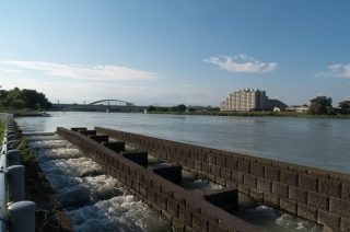 tamagawa_004