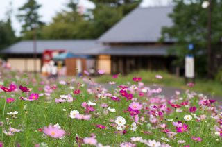 tachikawa_025