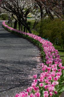 ensyuu_trip_043