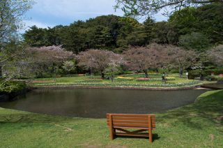 ensyuu_trip_047