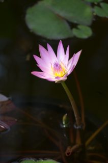 ensyuu_trip_063