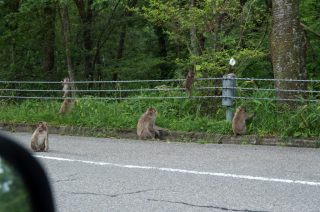 nikko_kinugawa_011