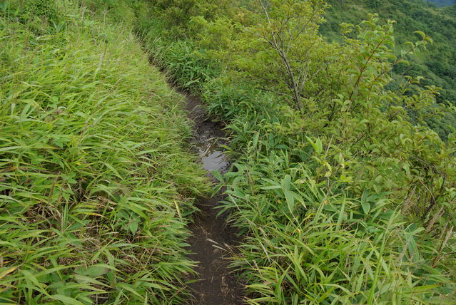 足を滑らせるとかなり転落しそうな感じ
Keywords: 飯盛山